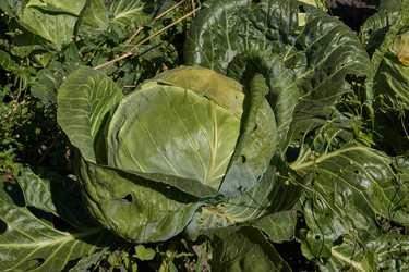 Similar image 21904778