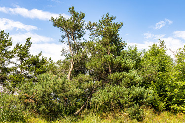 Similar image 21900253