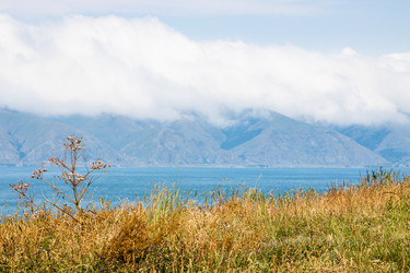 Similar image 21900261