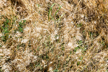 Similar image 21900031