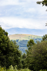 Similar image 21900034