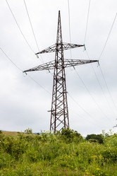 Similar image 21900036