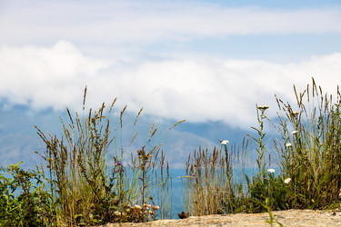 Similar image 21900037