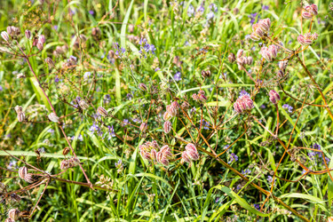 Similar image 21900039