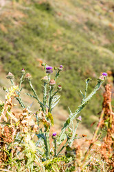 Similar image 21900047