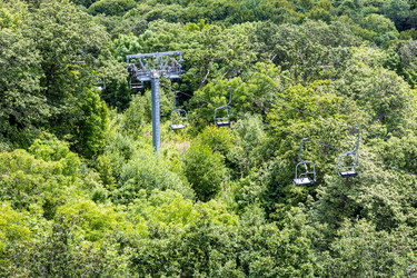 Similar image 21900052