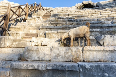 Similar image 21907614