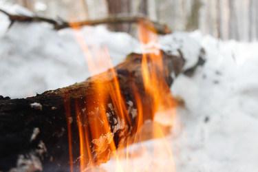 Similar image 21900076