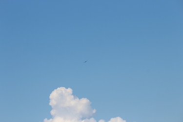 Similar image 21900079