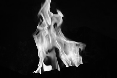 Similar image 21900080