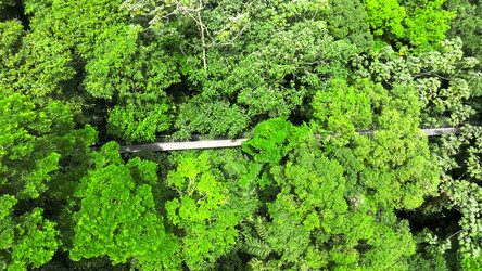 Similar image 21910930