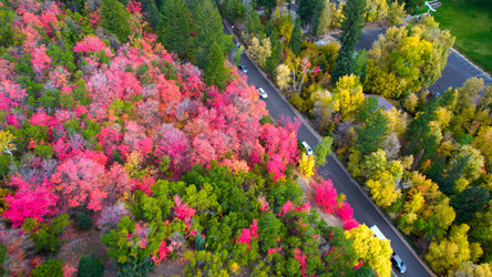 Similar image 21910931