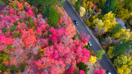 Similar image 21910932