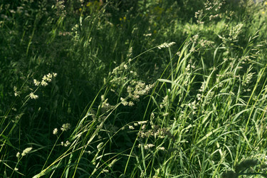 Similar image 21904879