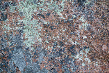 Similar image 21904886