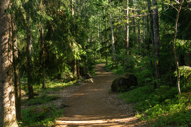 Similar image 21904888