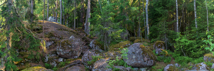 Similar image 21904891