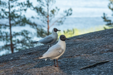 Similar image 21904898