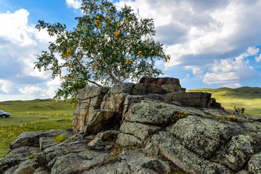 Similar image 21905181