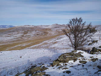 Similar image 21904902