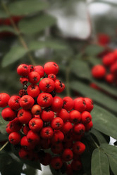 Similar image 21905185