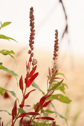 Similar image 21905186