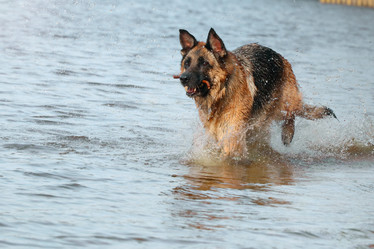 Similar image 21905187