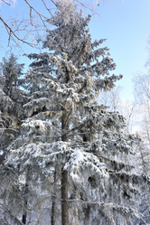 Similar image 21904971