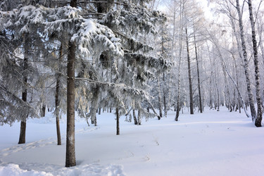 Similar image 21904972