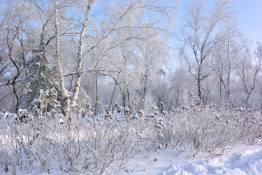 Similar image 21904974