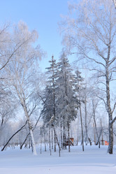 Similar image 21904975