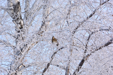 Similar image 21904976