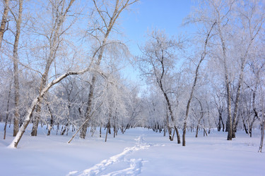 Similar image 21904977