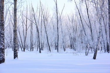 Similar image 21904980