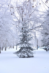 Similar image 21904984