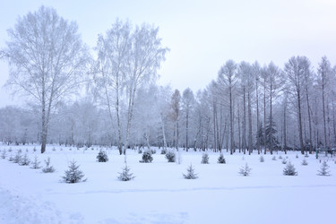 Similar image 21904985