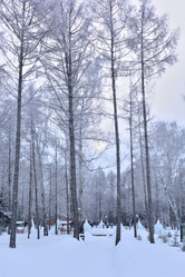 Similar image 21904987