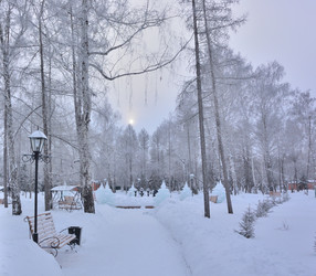 Similar image 21904988