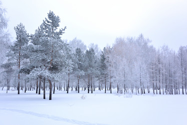 Similar image 21904991