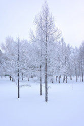 Similar image 21904993