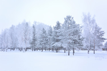 Similar image 21904994