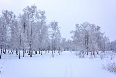 Similar image 21904996