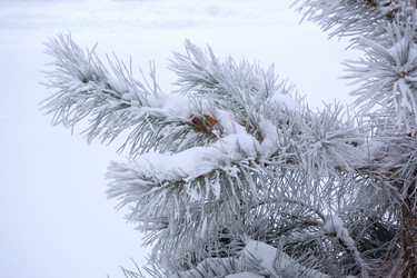 Similar image 21904998