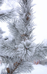 Similar image 21904999