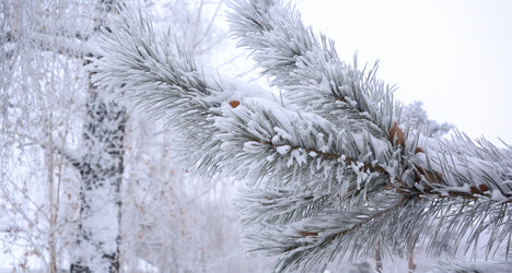 Similar image 21905000