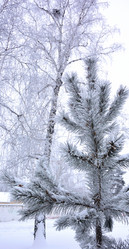 Similar image 21905001