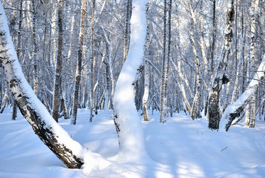 Similar image 21905003