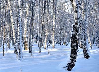 Similar image 21905004