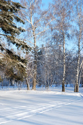 Similar image 21905006