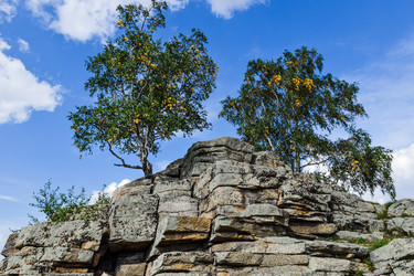 Similar image 21905188